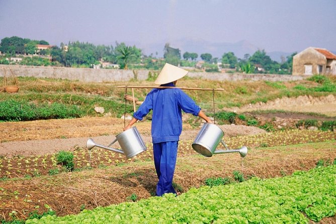 Hoi An countryside cycling tour - Key highlights in plain terms