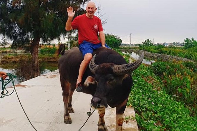 Hoi An Countryside Tour with Bamboo Basket Boat Rowing , Buffalo Ride, Farming - Where buffalo rides fit in, and why Cam Thanh matters