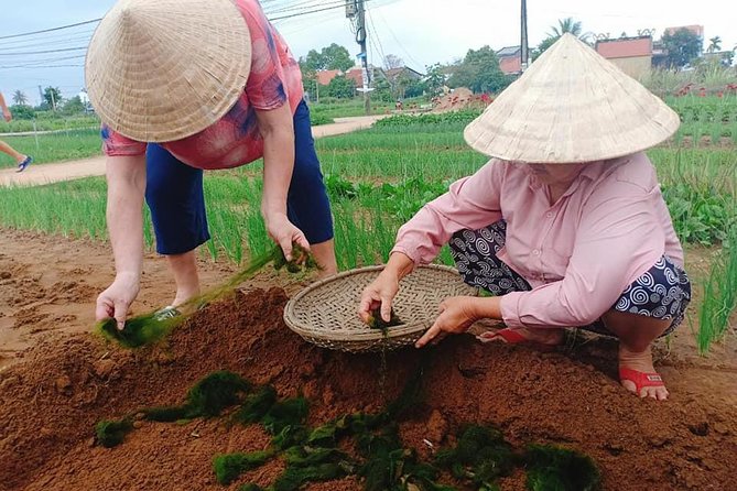 Hoi An Countryside Tour with Bamboo Basket Boat Rowing , Buffalo Ride, Farming - Taking a break with local life before the water