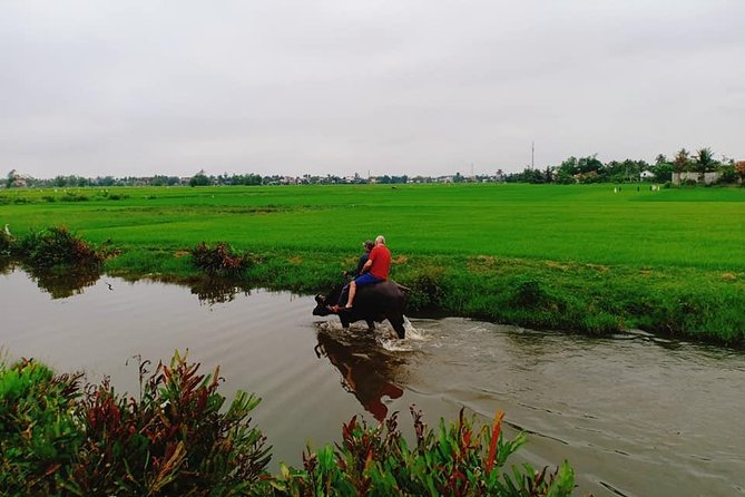 Hoi An Countryside Tour with Bamboo Basket Boat Rowing , Buffalo Ride, Farming - Price and value: what $76.42 buys you (and why it’s fair)
