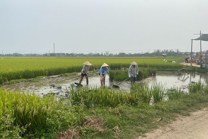 Hoi An Countryside Vespa Tour: Food, Culture & Daily Life - Lunch or Dinner in Old Town: What Included Meals Usually Mean for Value