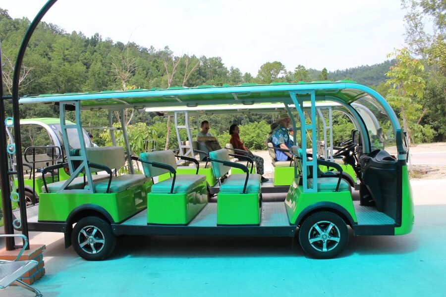 Hoi An/Da Nang: My Son Afternoon tour: Banh my and Cruise - Key highlights to look forward to