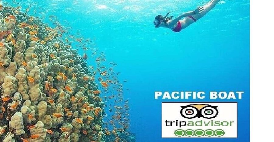 Hoi An/Da Nang: Snorkelling & Island-Hopping Speedboat Tour - Key highlights to know before you go