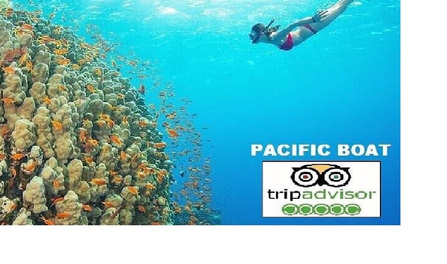 Hoi An/Da Nang: Snorkelling & Island-Hopping Speedboat Tour - Pickup, timing, and how the day actually flows