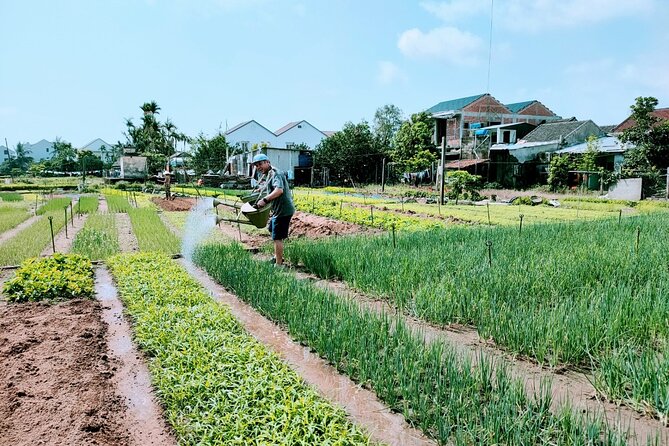 Hoi An Eco-Biking Tour - Price and value: what $40 covers, and what it saves you