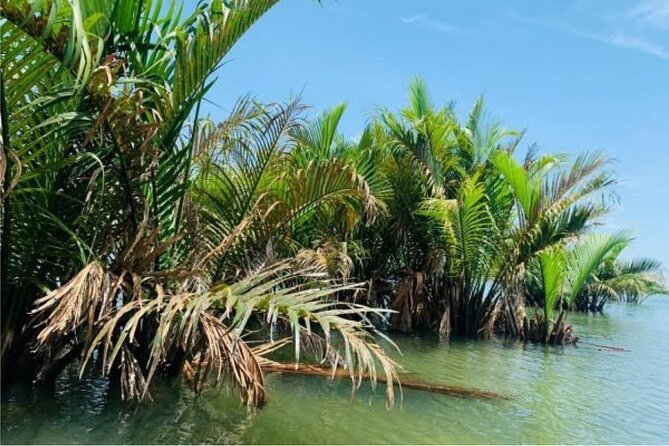 Hoi An Farming And Fishing Life - Tra Que Vegetable Village: where the work starts