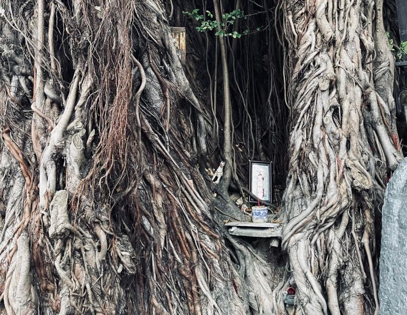 Hoi An Ghosts, Death, Mystery Unveiled - Who this Hoi An ghost tour fits best