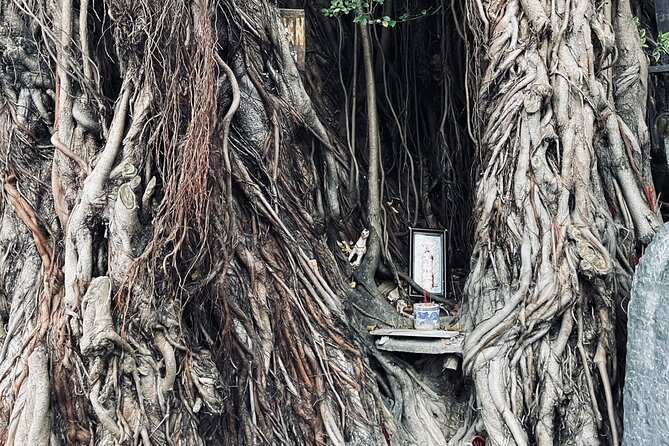 Hoi An Ghosts, Death, Mystery Unveiled - Oldest house shadows, wartime abandonment, and immigrant stories