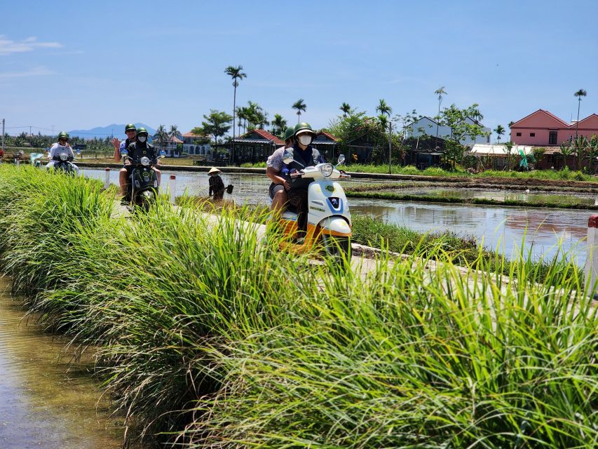 Hoi An Highlights and Hidden Gems Tour by Vespa - Bamboo basket boat in the water coconut forest