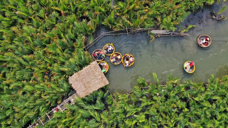 Hoi An: Hoi An Basket Boat Ride in Water Coconut Forest - Key Highlights You Should Know Before You Go