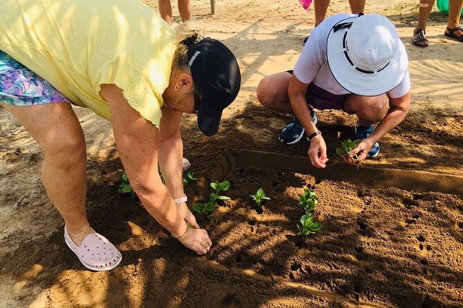 Hoi An Local Market and Vegetable Village Cooking Class - Cam Thanh: welcome drink, time on the water, then cooking at the restaurant