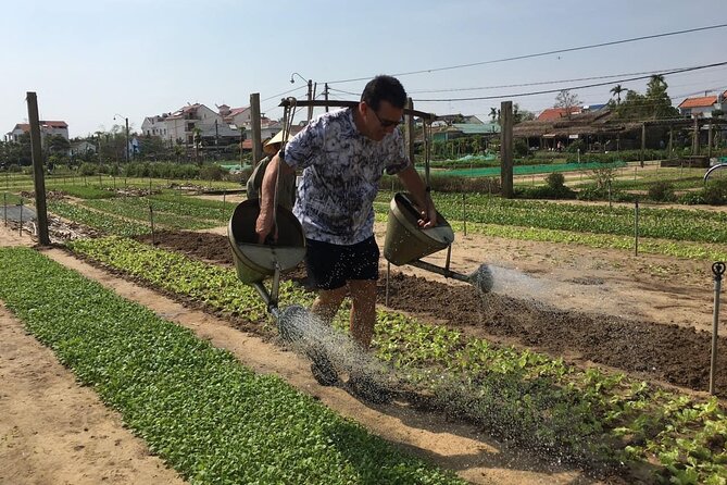 Hoi An Local Market and Vegetable Village Cooking Class - Tra Que Vegetable Village: organic herbs and real farming details