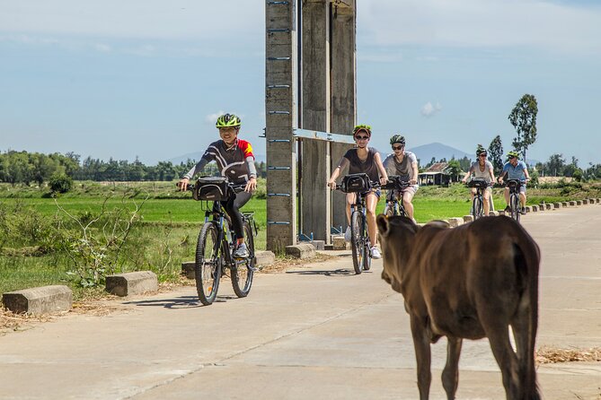 Hoi An: Morning Countryside Tour by Bike - Key highlights worth getting out of bed for