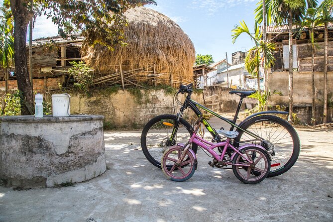 Hoi An: Morning Countryside Tour by Bike - Cẩm Kim and Duy Vinh: rice fields, canals, and the workday behind the view