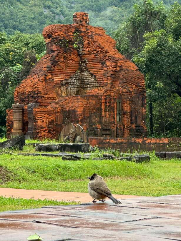 Hoi An: My Son Sanctuary Private Tour with Local Guide - Meet Your Guide: The Real Secret Is the Local Life Story