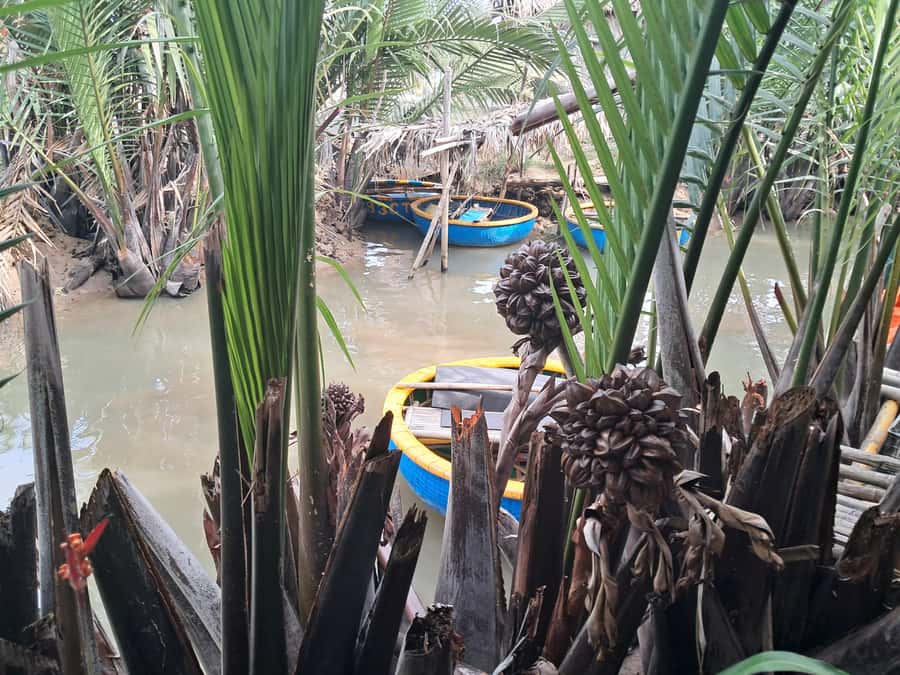 Hoi An: My Son Sanctuary with Basket Boat and Lunch Options - Lunch at My Son: Useful Fuel, but Expect Variability