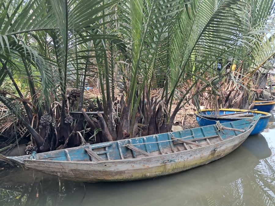 Hoi An: My Son Sanctuary with Basket Boat and Lunch Options - Back to Hoi An by Boat on the Thu Bon River