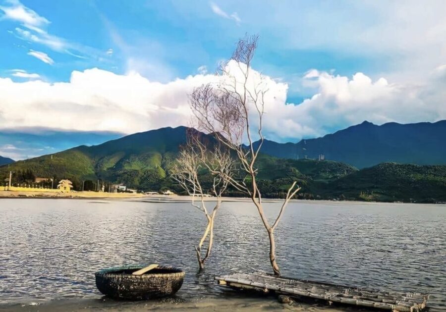 Hue City Tour Full Day - Depart from Da Nang / Hoi An - Imperial Citadel in Hue: 520 hectares of Nguyen Dynasty power
