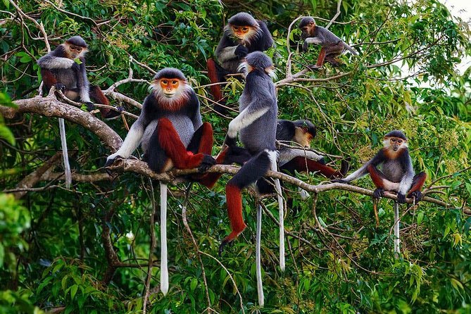 Hue to Dn/Hoi An: Hai Van Pass, beaches & Mt Monkey or vice versa - Timing Tips: How to Make a 6 to 7 Hour Day Feel Comfortable