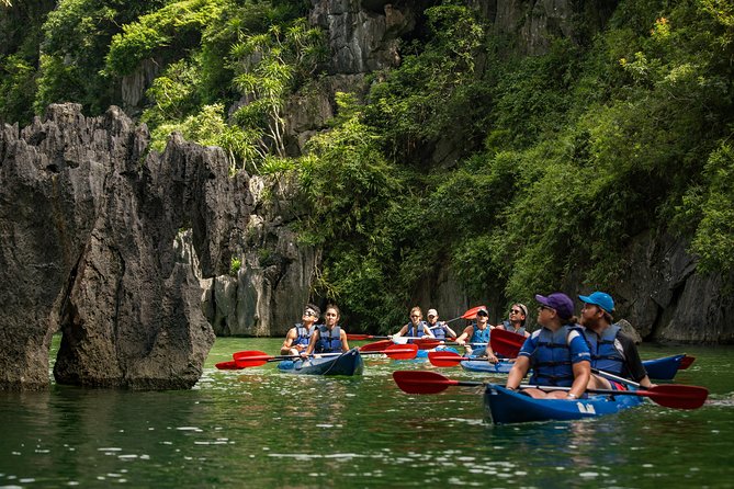 Kayaking at Lan Ha Bay - Wildlife Moments, From Black Kites to Possible Rays