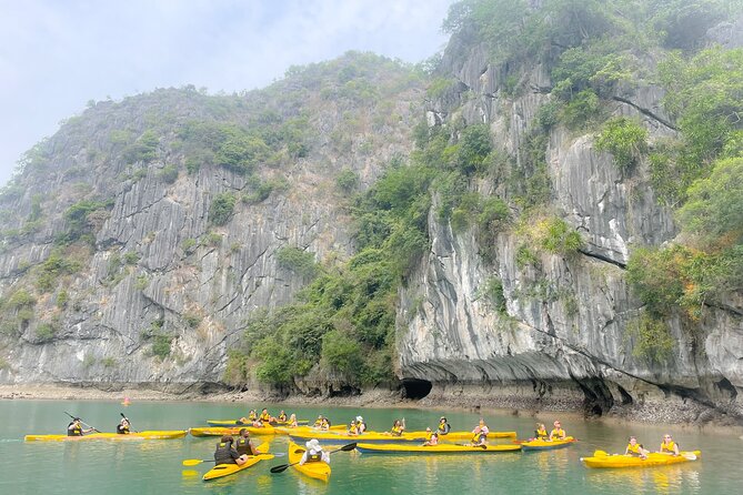 Lan Ha Bay day tour from Cat Ba, Hanoi - Serenity Boutique Cruise - Ba Trai Dao Beach Time: Snorkeling, Swimming, and Cliff Jumping When It Fits