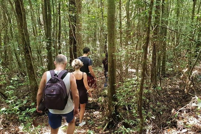 Land Tour 2: Discover the North - Kayaking & Starfish beach Phu Quoc (Not Lunch) - Cua Can River Kayak: The Main Event That Justifies the Trip