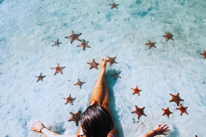 Land Tour 2: Discover the North - Kayaking & Starfish beach Phu Quoc (Not Lunch) - The Bee Farm Add-On: Fun if It’s Open, Skip if It Isn’t