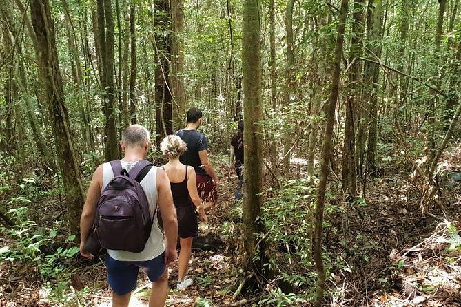 Land Tour 2: Discover the North - Kayaking & Starfish beach Phu Quoc (Not Lunch) - Price and Logistics: Is $44 a Smart Deal?