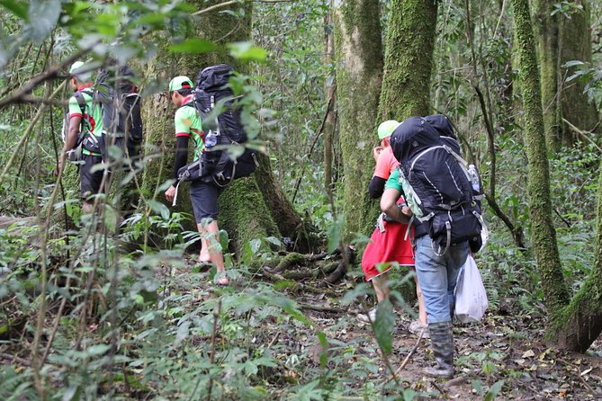 Langbiang Green Trekking Tours - Signature Trekking Da Lat - The climb starts at Radar Peak Langbiang, then moves through pine and jungle trails