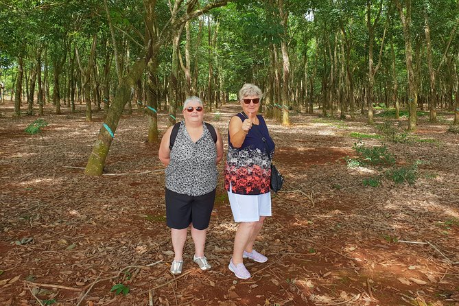 Long Tan and Nui Dat - Australian Battlefield one-day tour from Ho Chi Minh City - Timing, comfort, and the ride out of District 1, 3, or 4