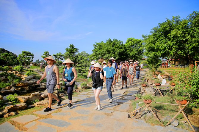 Luxury Hoa Lu Tam Coc Mua Cave 1 Day With Limousine Bus And Lunch - Lunch and Included Extras That Reduce Hassle