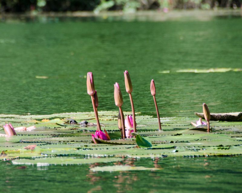 Luxury Limousine Tour: Hoa Lu, Trang An/Tam Coc & Mua Cave - Guide quality and small logistics that make the day feel easy