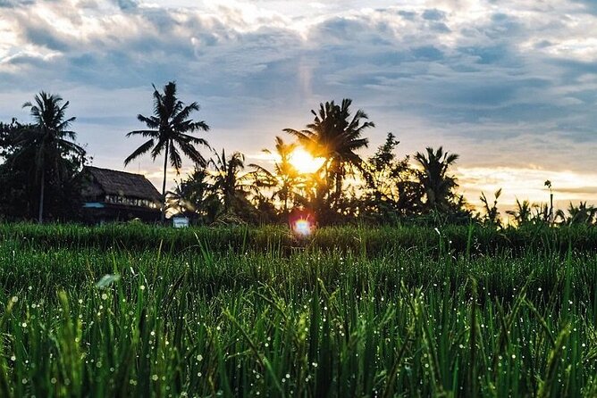 LUXURY Mekong 2 Days 1 Night SMALL GROUP Stay at Tiny Homestay with BBQ Dinner - Price and value: why $99 can work well here