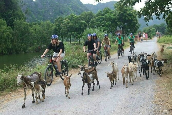 Luxury small Group Hoa Lu - Tam Coc - Mua Cave Max 6 - 8 pax/tour - Tam Coc lunch and cooking class: eat what you make