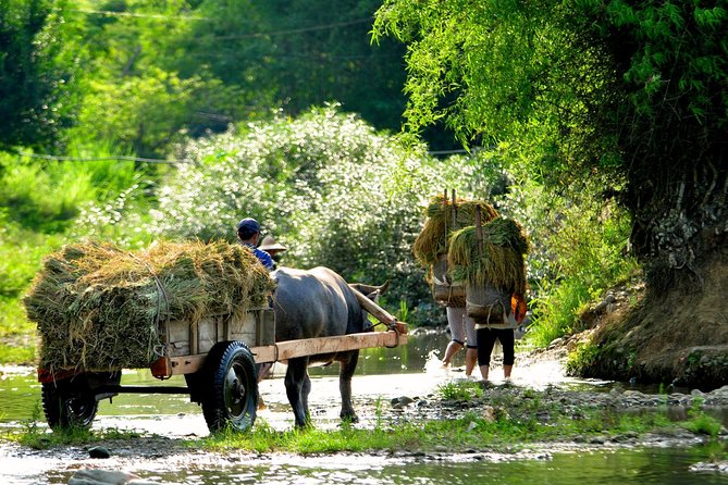 Mai Chau Private Day Tour: Hiking & Biking in Pristine Landscapes - Getting to Mai Chau: how the day starts and why the drive matters