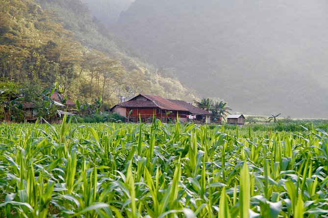 Majesty Of Untouched Northern Vietnam Tour 6 Days - Homestays plus three-star hotels: the comfort-locality balance