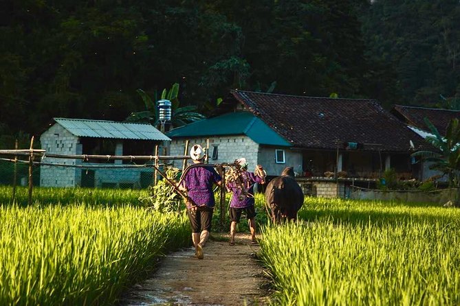 Majesty Of Untouched Northern Vietnam Tour 6 Days - Who should book this Majesty of Untouched Northern Vietnam tour
