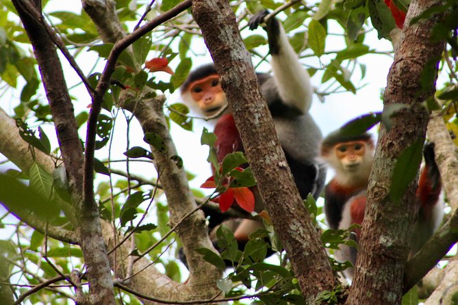 Marble Mountain, Monkey Mountain Peak, Lady Buddha PRIVATE TOUR - Why Marble Mountain, Monkey Mountain, and Lady Buddha work as a half-day