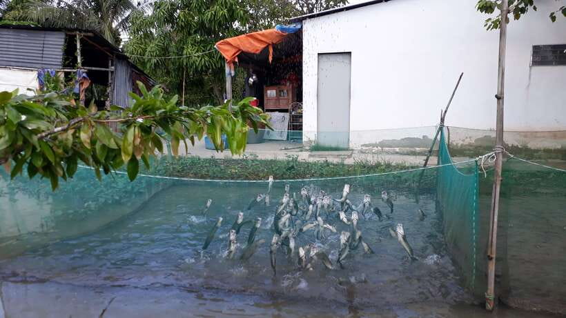 Mekong Day Tour by Car:Cai Be market, Local Island & Cycling - Price and what you actually get for $125 per person