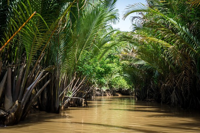 Mekong Delta Small Group Full Day Tour - Price and value: why this feels like a deal