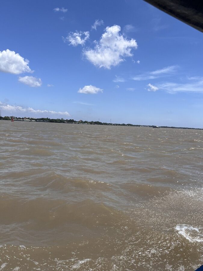 Mekong Delta Tour - The Main Drawbacks to Consider Before Booking