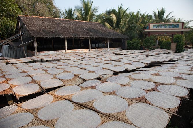 Mekong Delta Tour Full Day Cai Be-Vinh Long - Who this tour suits best, and who might want a different plan