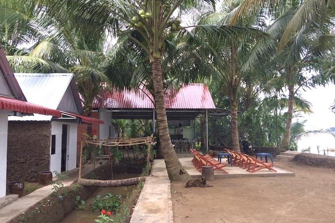 Mekong Delta Tour with Kayaking, Cycling and Cooking - Bee Farm and Coconut Candy: Sweet Stops That Explain Local Craft