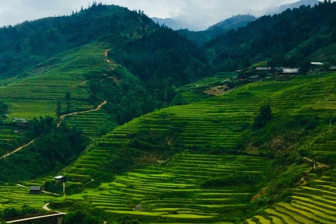 Mount Fansipan Hike 1 Day The Roof Of Indochina - Rolling hills to cloudline views: what makes this route memorable