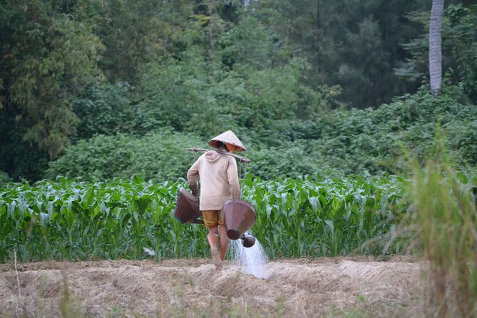 Mountain Bike Riding from Hoi An - A countryside loop that actually feels like the real Hoi An