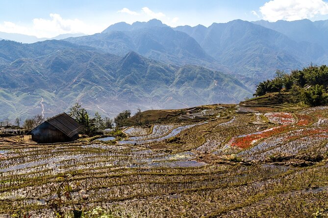 Mountain views & Rice Terraced Fields Hiking – 2D 1N - Ta Van Village: A Quick Downhill Finish with Giay and Black Hmong Mix