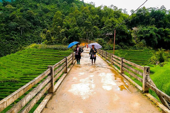 Muong Hoa Valley Trek & Homestay Experience - 4D3N - Homestay Night and Meals That Keep You Trekking Right