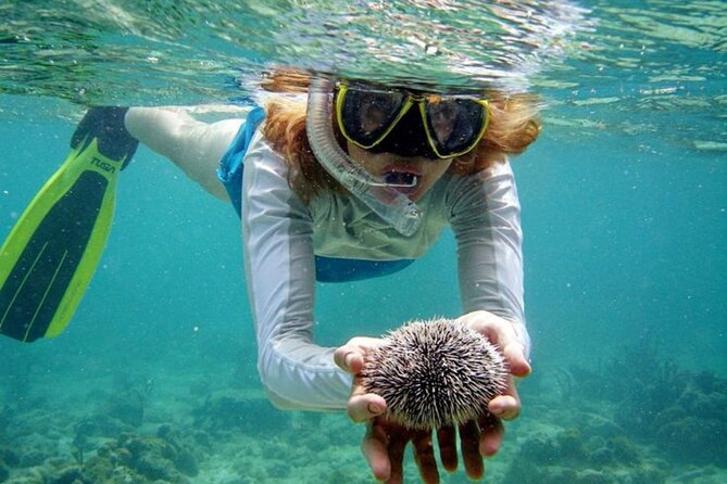 Nha Trang Bay: Explore Half-day Snorkeling at Coral Reef - The boat ride times you should picture