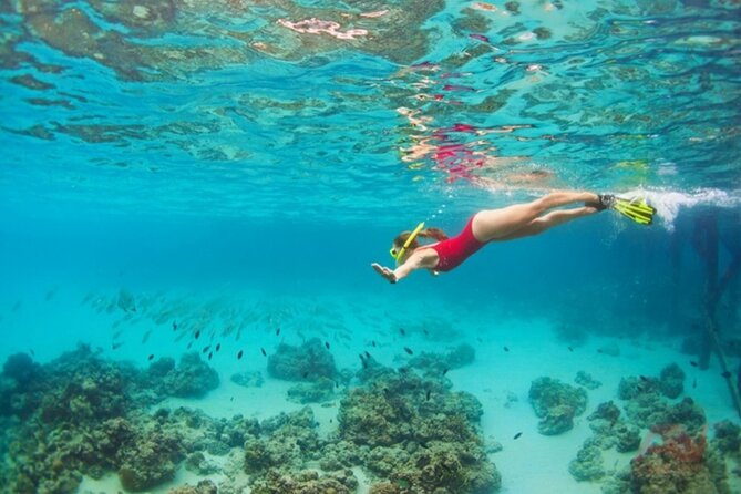 Nha Trang Bay: Explore Half-day Snorkeling at Coral Reef - Gear, comfort, and the small stuff that changes everything