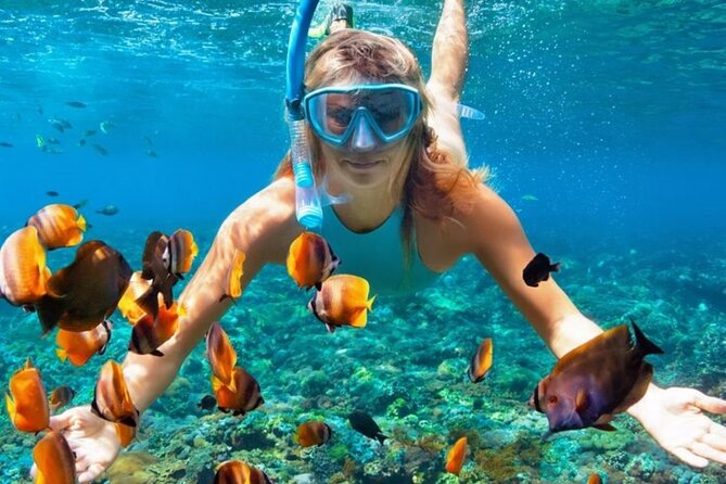 Nha Trang Bay: Explore Half-day Snorkeling at Coral Reef - Lunch on a floating restaurant: local flavor with sea views
